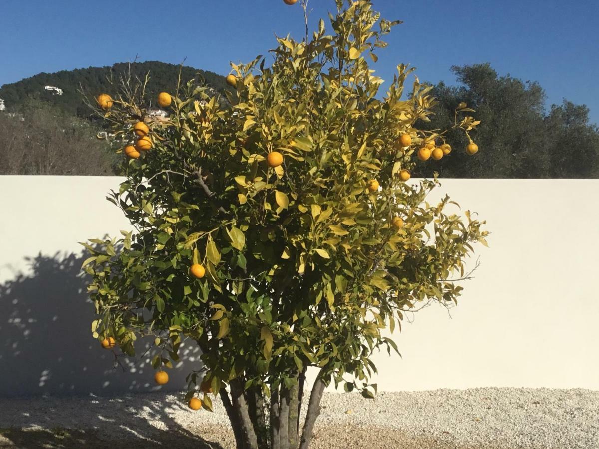 Casita In Javea With Garden And Pool - Dog Friendly! Eksteriør bilde